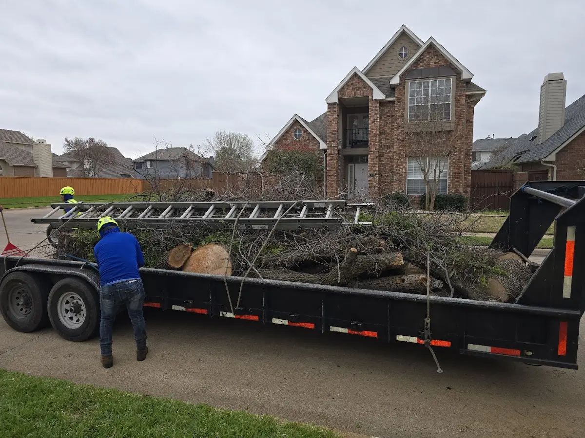 Expert Tree Pest Control with proper safety equipment in Forestburgh